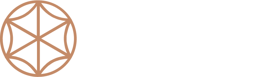 Vizion